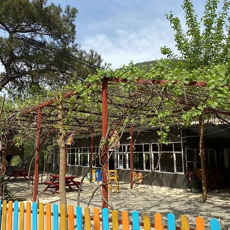 Olympos Camlik Pension Екстериор снимка