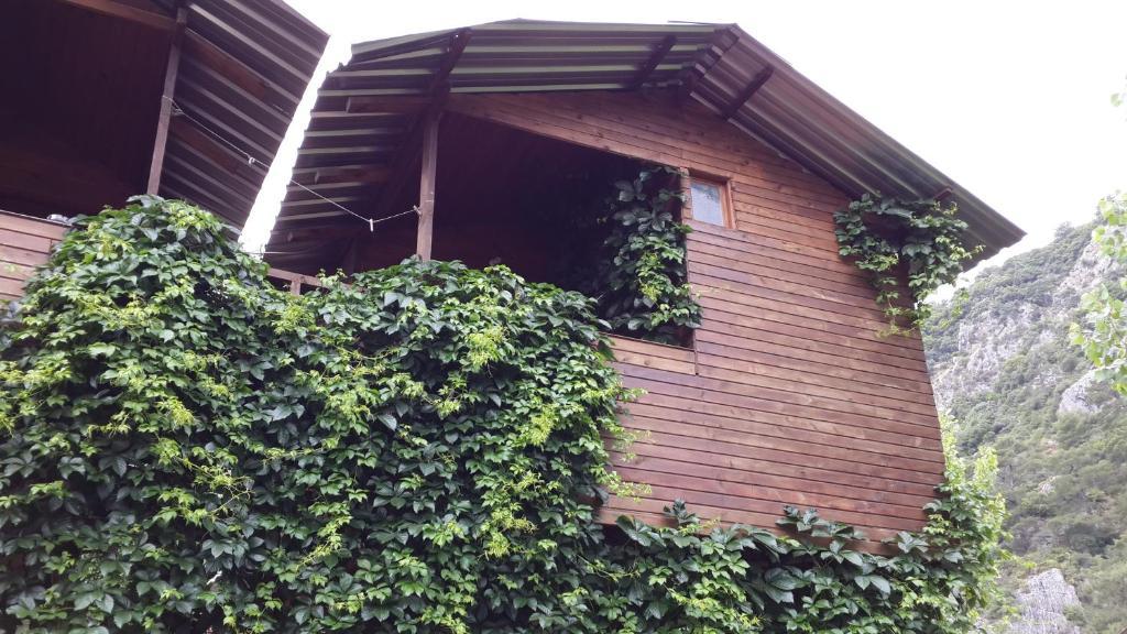 Olympos Camlik Pension Екстериор снимка