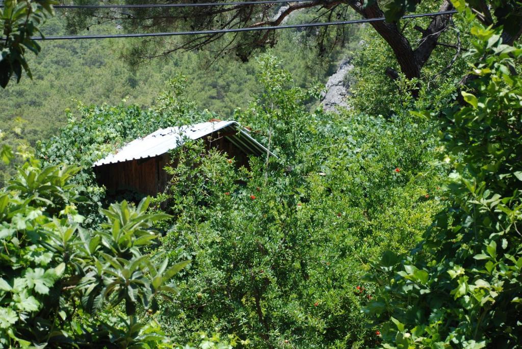 Olympos Camlik Pension Екстериор снимка