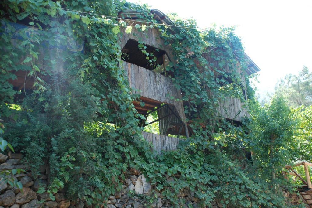 Olympos Camlik Pension Екстериор снимка