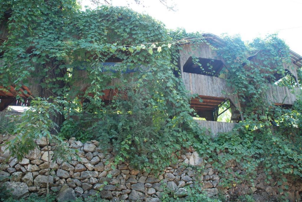 Olympos Camlik Pension Екстериор снимка